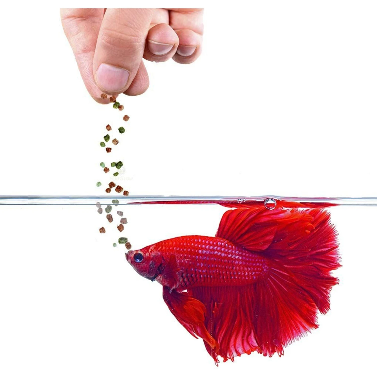 SunGrow High Protein Betta & Goldfish Floating Food Pellets Food, 0.95-oz Bag 4 SunGrow High Protein Betta & Goldfish Floating Food Pellets Food, 0.95-oz Bag - Image 2