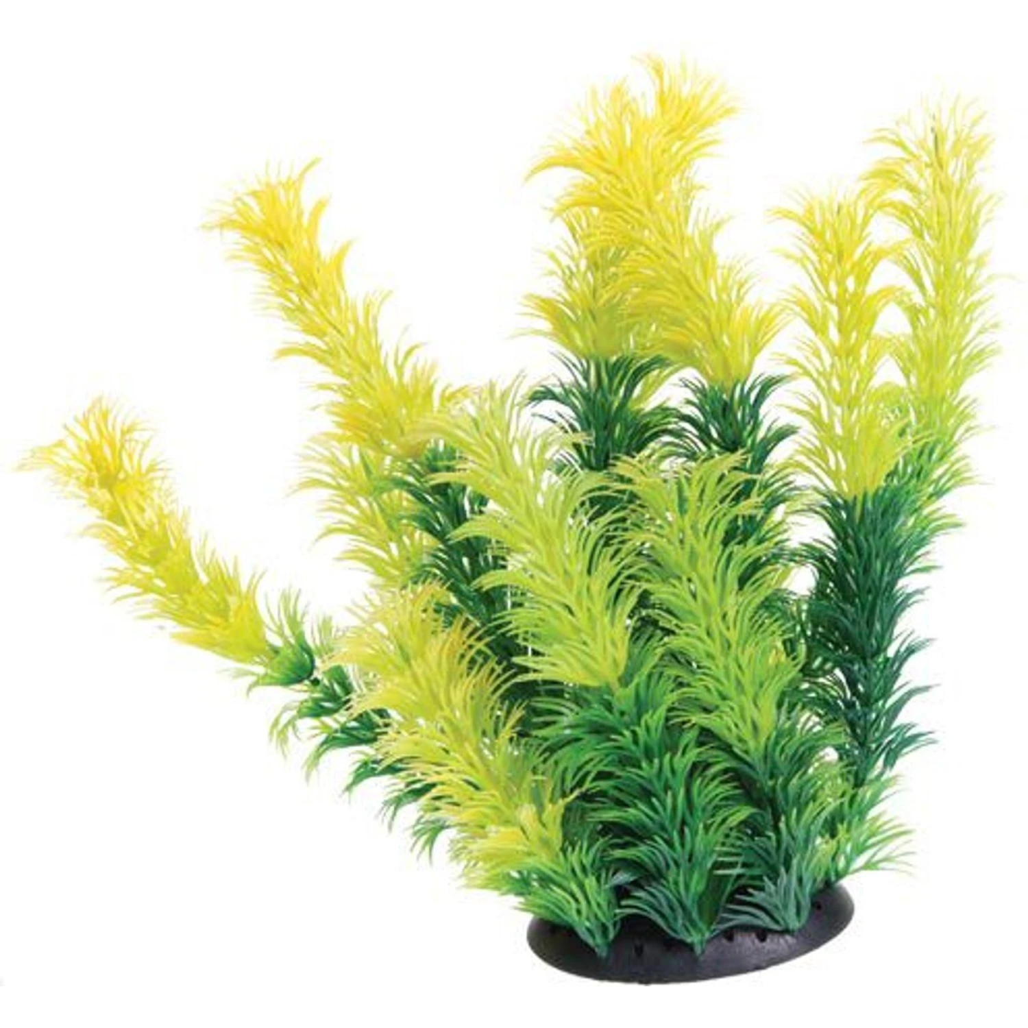 Underwater Treasures Diandra Fish Ornament 3 Underwater Treasures Diandra Fish Ornament