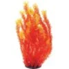 Underwater Treasures Orange Cabomba Fish Plant -Plax Penn Shop 558526 MAIN. AC SS1800 V1657659603