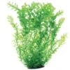 Underwater Treasures Green Cardamine Fish Plant -Plax Penn Shop 558542 MAIN. AC SS1800 V1657659604