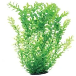 Underwater Treasures Green Cardamine Fish Plant