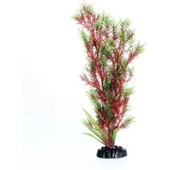 Underwater Treasures Red/Green Springeri Fish Plant
