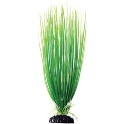 Underwater Treasures Hairgrass Fish Plant