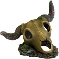 Underwater Treasures Ram Skull Fish Ornament