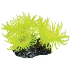 Underwater Treasures Mini Sun Polyp Fish Ornament