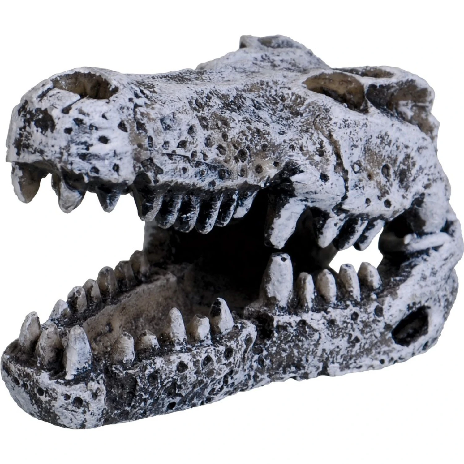 Underwater Treasures Crocodile Skull Fish Ornament 3 Underwater Treasures Crocodile Skull Fish Ornament