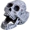 Underwater Treasures Laughing Skull Fish Ornament -Plax Penn Shop 559622 MAIN. AC SS1800 V1657659610