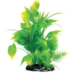 Underwater Treasures Spade Fern Fish Plant, 8.5-in
