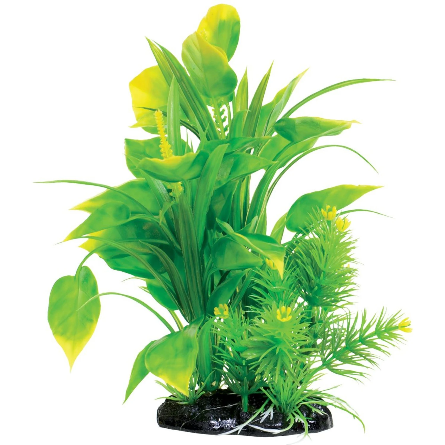 Underwater Treasures Spade Fern Fish Plant, 8.5-in 3 Underwater Treasures Spade Fern Fish Plant, 8.5-in