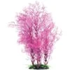 Underwater Treasures Fuscia Fern Fish Plant, 14-in -Plax Penn Shop 559766 MAIN. AC SS1800 V1657659611