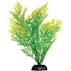 Underwater Treasures Water Violet Fish Plant