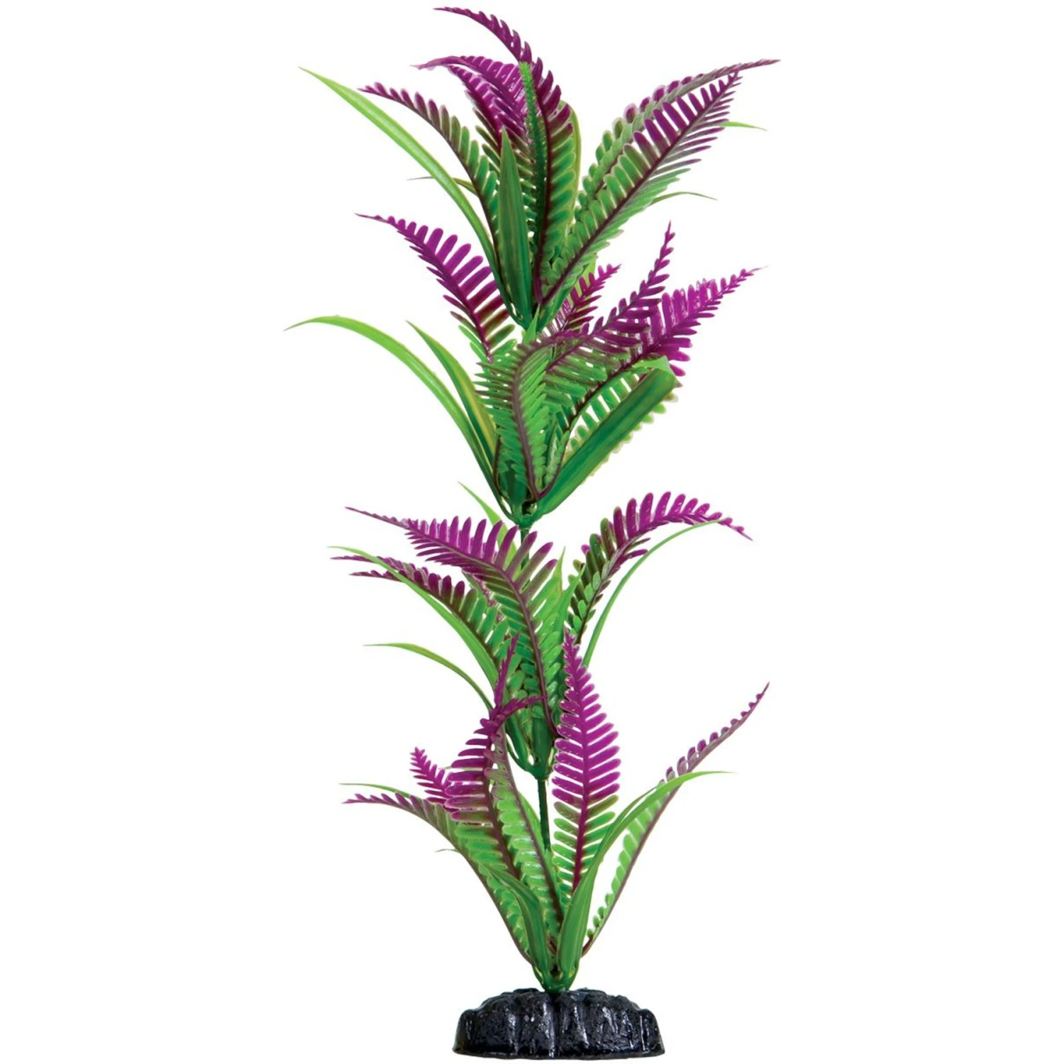 Underwater Treasures Heart Fern Fish Plant 3 Underwater Treasures Heart Fern Fish Plant