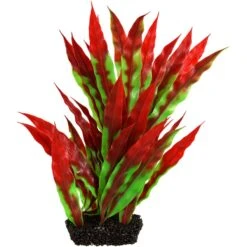 Underwater Treasures Vasiliki Crypt Fish Plant, 8-in