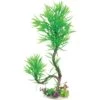 Underwater Treasures Paradise Fern Fish Plant
