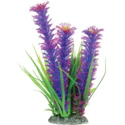 Underwater Treasures Ambulia Fish Plant