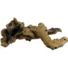 Underwater Treasures Underwater Driftwood Fish Ornament -Plax Penn Shop 560430 MAIN. AC SS1800 V1657659613