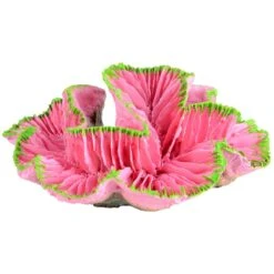 Underwater Treasures Open Brain Coral Fish Ornament