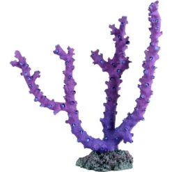Underwater Treasures Octo Coral Fish Ornament