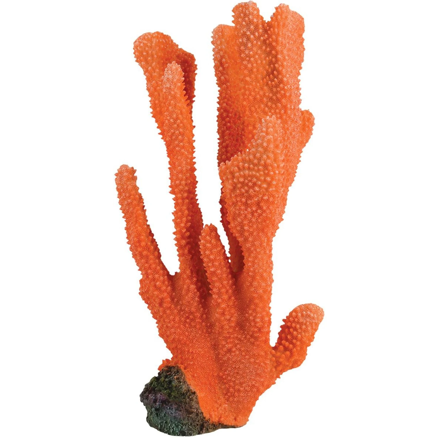 Underwater Treasures Elkhorn Fish Ornament 3 Underwater Treasures Elkhorn Fish Ornament