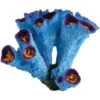 Underwater Treasures Blue Torch Coral Fish Ornament -Plax Penn Shop 561758 MAIN. AC SS1800 V1657659617