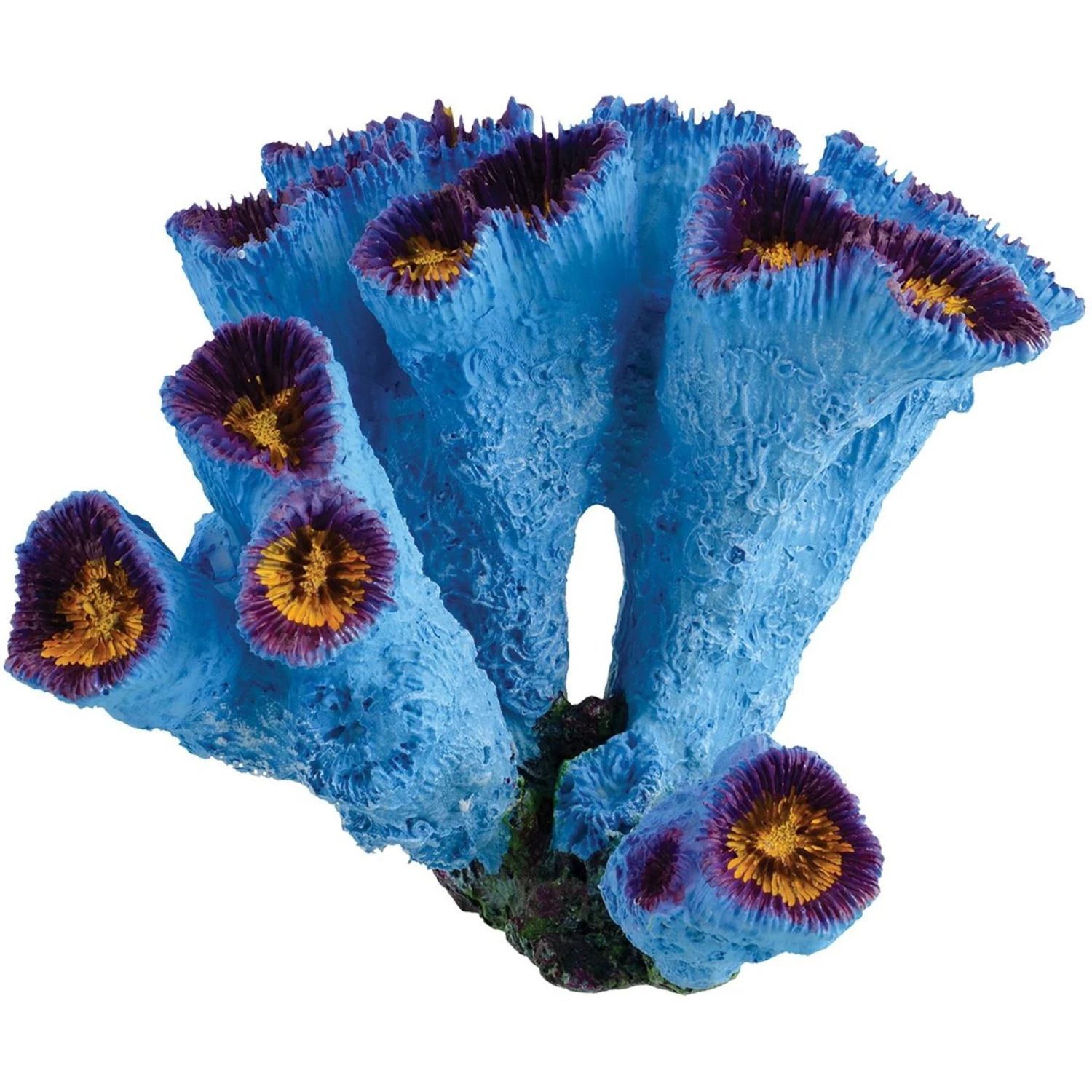 Underwater Treasures Blue Torch Coral Fish Ornament 3 Underwater Treasures Blue Torch Coral Fish Ornament