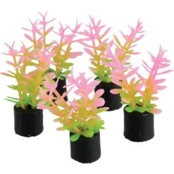 Underwater Treasures Mini Plant Grass Fish Ornament, 1.5-in, 5 Count
