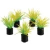 Underwater Treasures Mini Plant Spring Grass Fish Ornament, 5 Count 2 Underwater Treasures Mini Plant Spring Grass Fish Ornament, 5 Count -Plax Penn Shop 561966 MAIN. AC SS1800 V1657659618