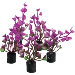Underwater Treasures Mini Plant Purple Ear Fish Ornament, 5 Count