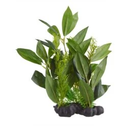 Underwater Treasures Olive Tree Fish Ornament