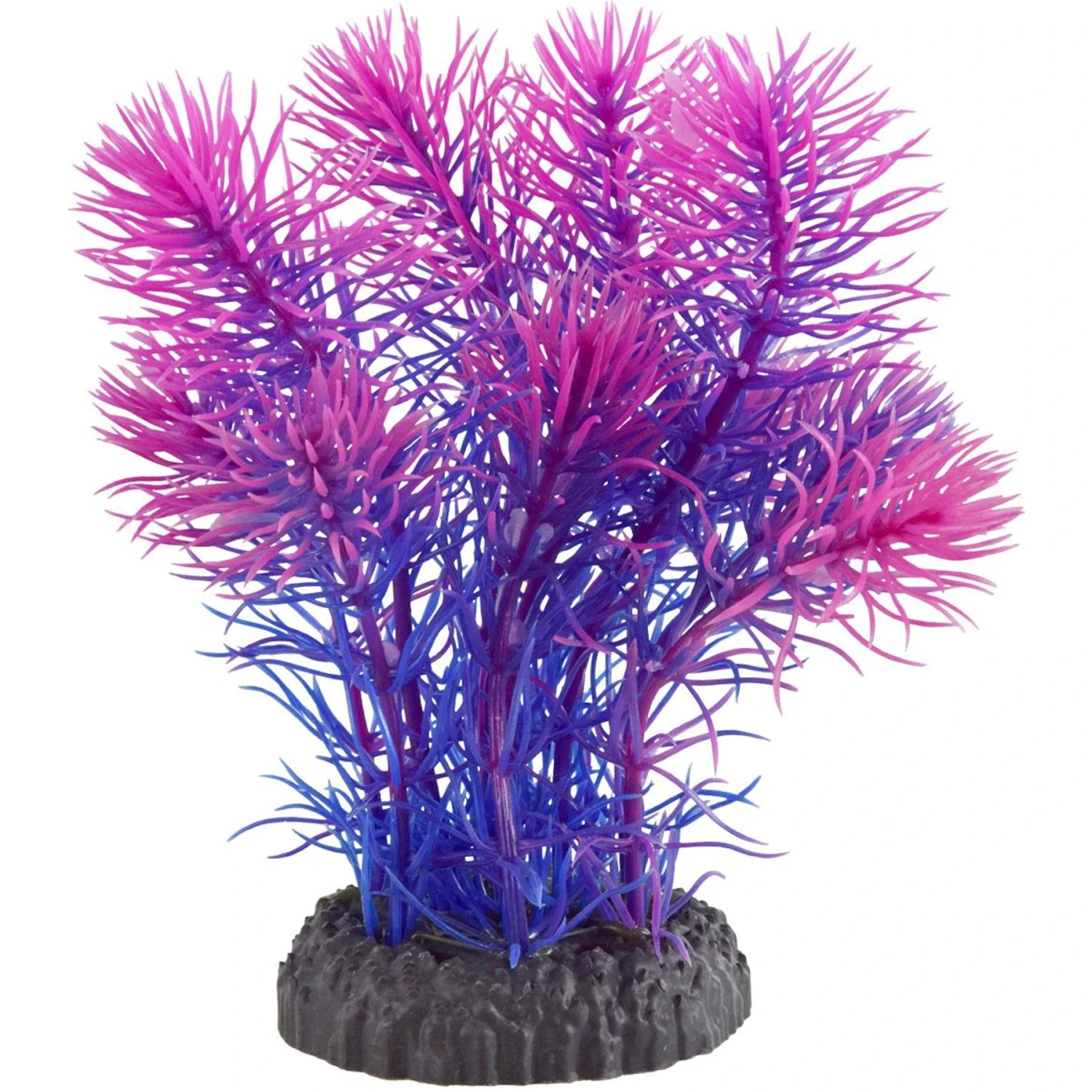 Underwater Treasures Magenta Cabomba Fish Ornament 3 Underwater Treasures Magenta Cabomba Fish Ornament