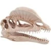 Underwater Treasures Dinosaur Skull Fish Ornament 1 Underwater Treasures Dinosaur Skull Fish Ornament -Plax Penn Shop 562846 MAIN. AC SS1800 V1657659679