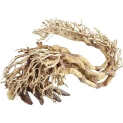 Underwater Treasures Dragon Wood Fish Ornament