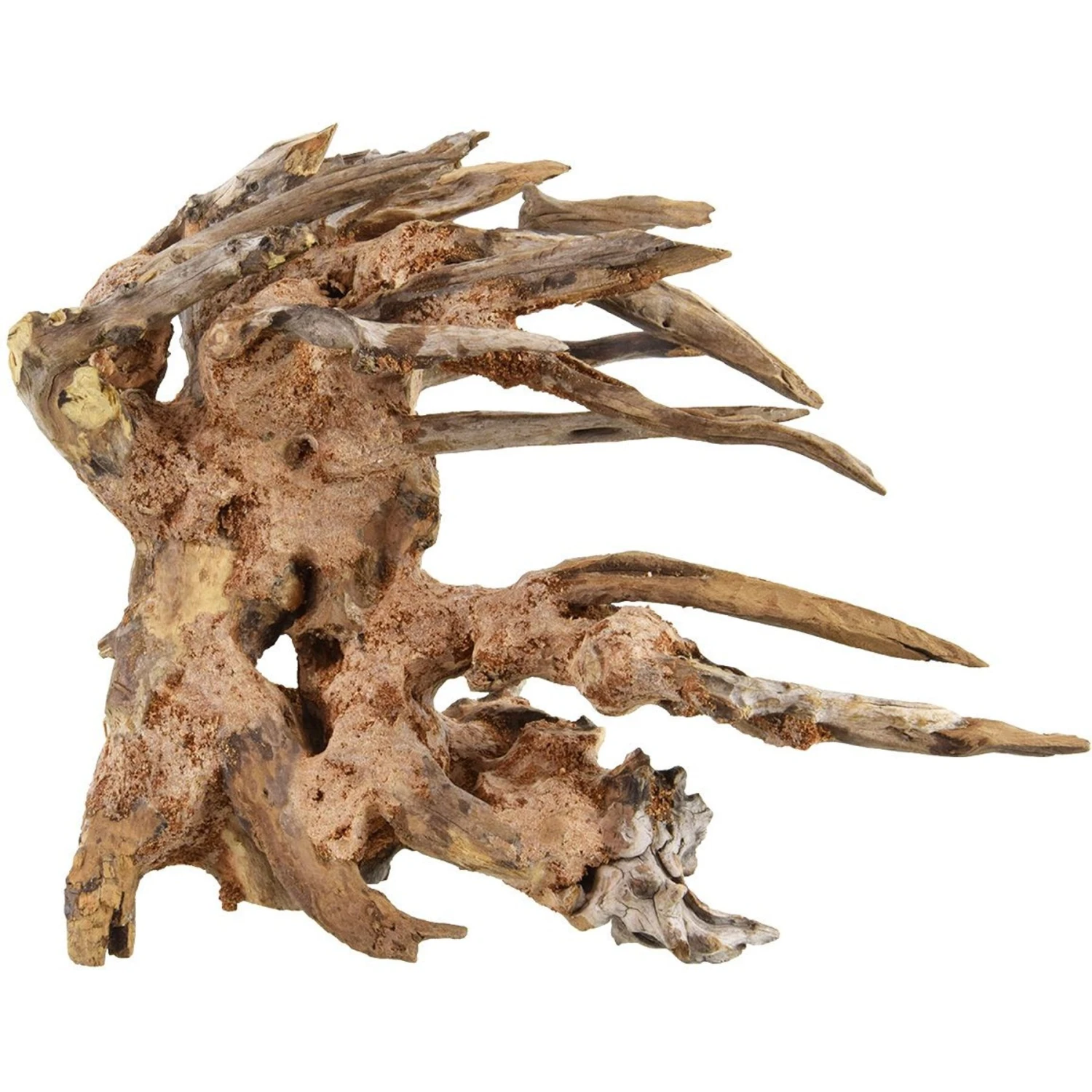 Underwater Treasures Kirin Bonsai Wood Fish Ornament 3 Underwater Treasures Kirin Bonsai Wood Fish Ornament