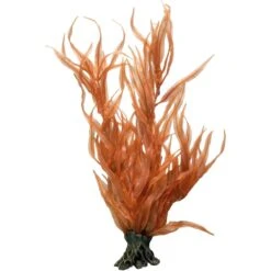 Underwater Treasures Pacific Coast Orange Kelp Fish Ornament