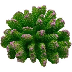 Underwater Treasures Polyped Coral Fish Ornament