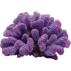 Underwater Treasures Toadstool Coral Fish Ornament