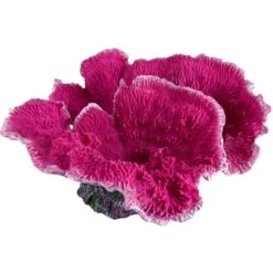 Underwater Treasures Montipora Coral Fish Ornament