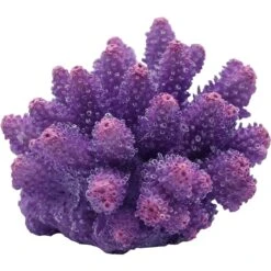 Underwater Treasures Cauliflower Coral Fish Ornament
