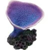 Underwater Treasures Elephant Ear Coral Fish Ornament -Plax Penn Shop 563750 MAIN. AC SS1800 V1657998597