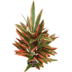 Underwater Treasures Dragon Marsh Lily Fish Ornament