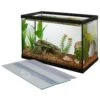 Frisco Aquarium, 5.5-gal & Frisco Aquarium Glass Canopy -Plax Penn Shop 567814 MAIN. AC SS1800 V1657659989