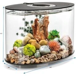 BiOrb LOOP 15 Standard Light Fish Aquarium, 4-gal -Plax Penn Shop 614398 PT2. AC SS1800 V1671226168