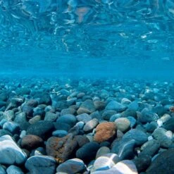 Seaview Aquascape Reversible Background Aquarium Accessory