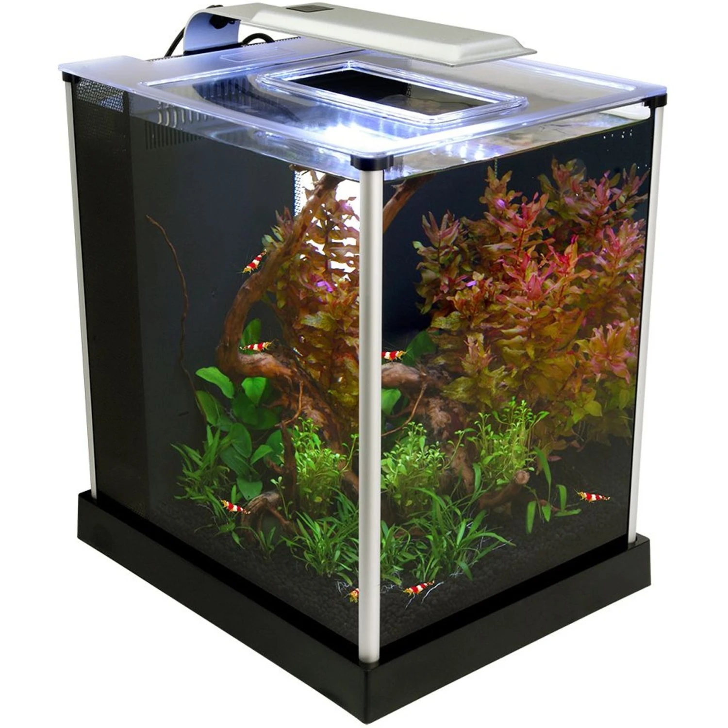 Fluval EBI Shrimp Aquarium Kit, 2.6-gal 4 Fluval EBI Shrimp Aquarium Kit, 2.6-gal - Image 2