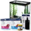 Aqueon PURE Betta Beads Aquarium Water Care + 4 Items -Plax Penn Shop 659966 MAIN. AC SS1800 V1666270984