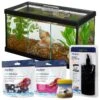 Frisco 3 Betta Aquarium With Divider/Top + 4 Items 2 Frisco 3 Betta Aquarium With Divider/Top + 4 Items -Plax Penn Shop 659998 MAIN. AC SS1800 V1666270983