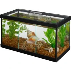 Frisco 3 Betta Aquarium With Divider/Top + 4 Items -Plax Penn Shop 659998 PT1. AC SS1800 V1666296949