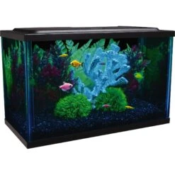 GloFish LED Lighting & Filter Aquarium Kit -Plax Penn Shop 684566 PT2. AC SS1800 V1668628229