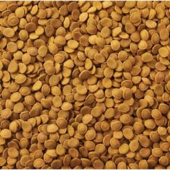 GloFish Shark & Cory Catfish Wafers Fish Food, 1.58-oz Pouch -Plax Penn Shop 685342 PT4. AC SS1800 V1668627066