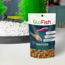 GloFish Shark & Cory Catfish Wafers Fish Food, 1.58-oz Pouch -Plax Penn Shop 685342 PT6. AC SS1800 V1668628225
